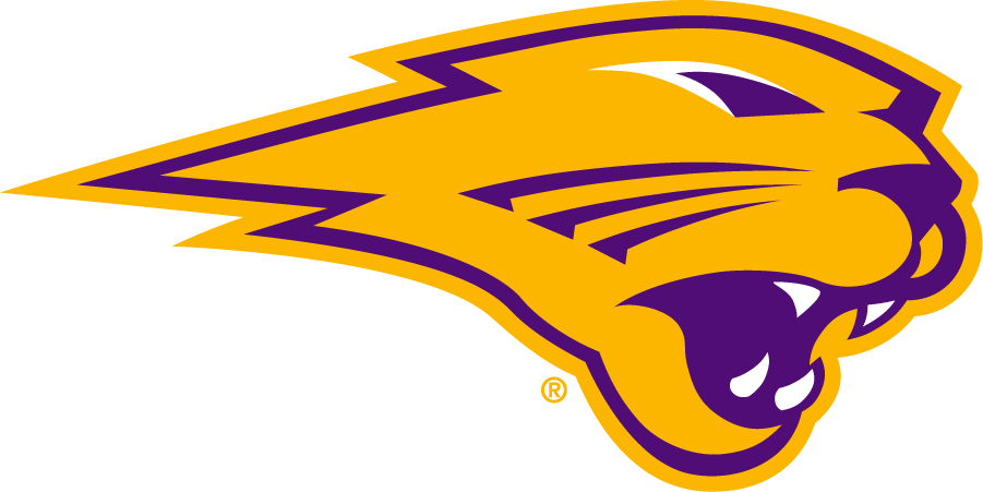 Northern Iowa Panthers 2021-Pres Secondary Logo v2 diy DTF decal sticker